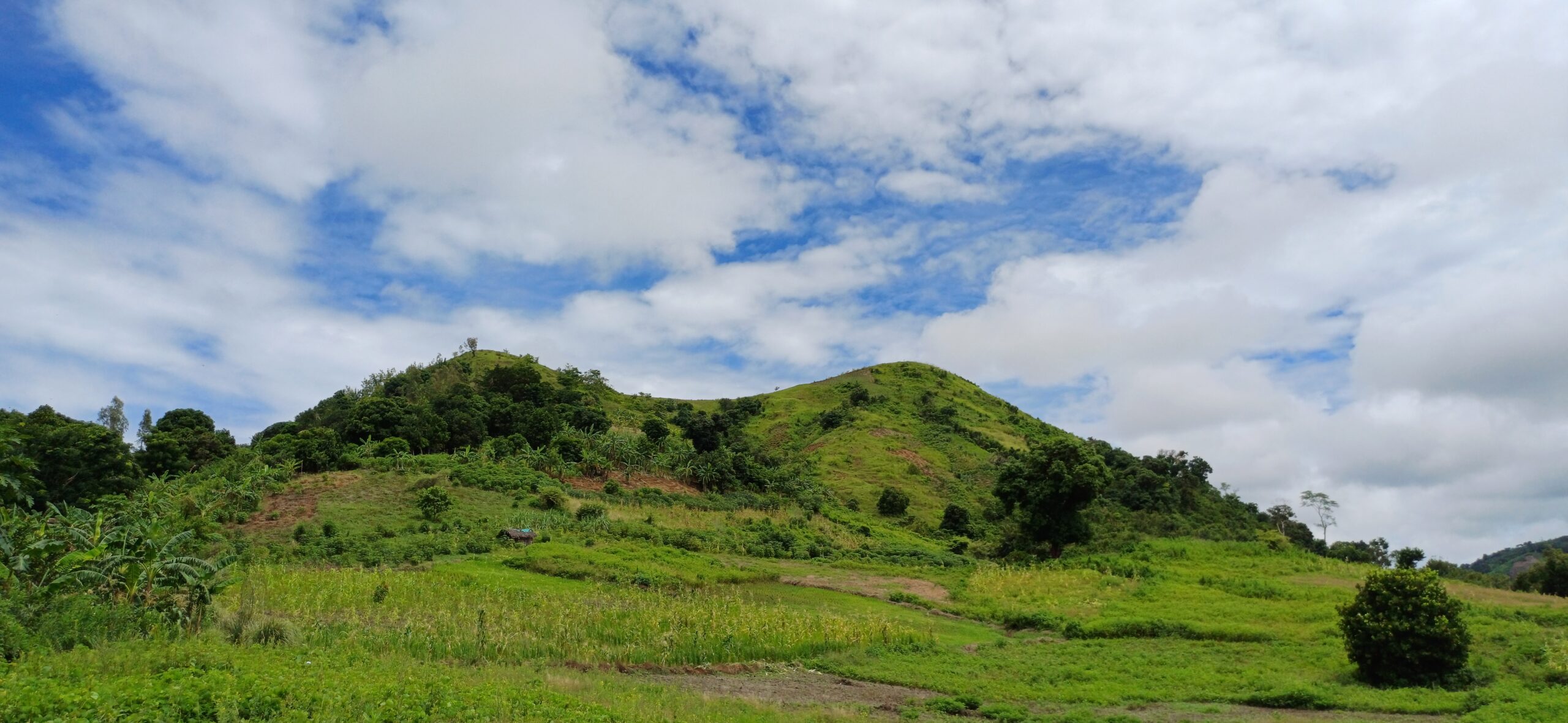  Conservation et utilisation durable de la diversité biologique dans le paysage du Nord‑Ouest (région de Boeny)