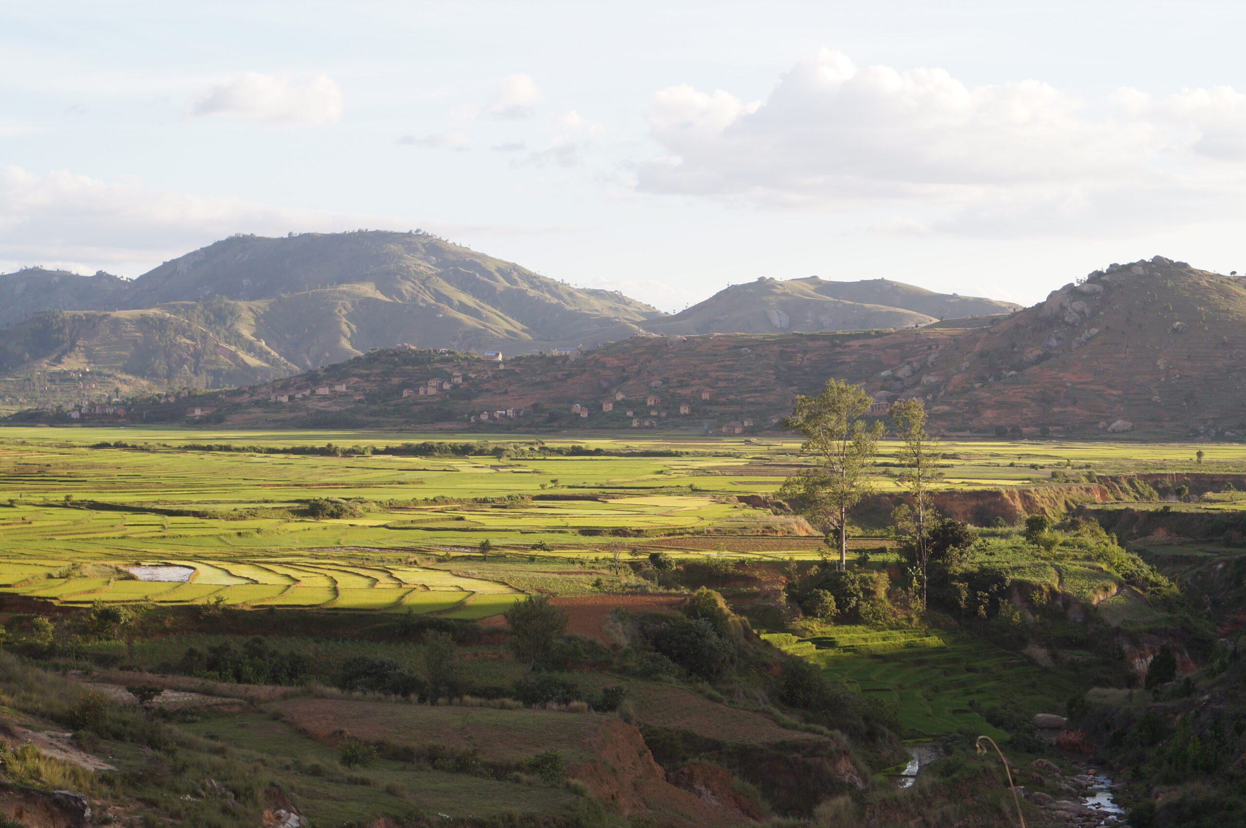 DÉVELOPPEMENT DURABLE : Madagascar et le FEM célèbrent 30 ans d’action lors du Dialogue National « FEM 8 »