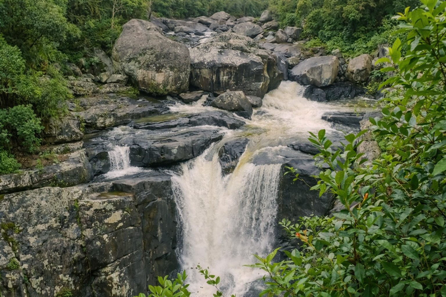 Renforcement des capacités d&rsquo;adaptation et de résilience face au changement climatique des communautés rurales des régions Analamanga, Atsinanana, Androy, Anosy et Atsimo Andrefana