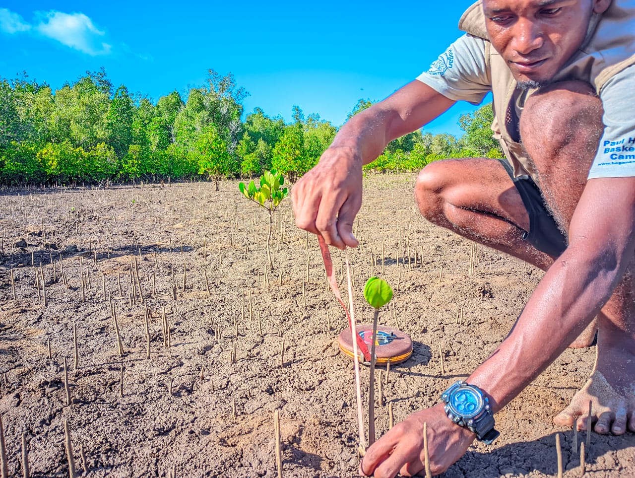 Conservation de la biodiversité, restauration et développement durable intégré des sous-bassins versants du Mangoky [TEFIALA]