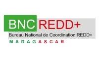 BNCC REDD+