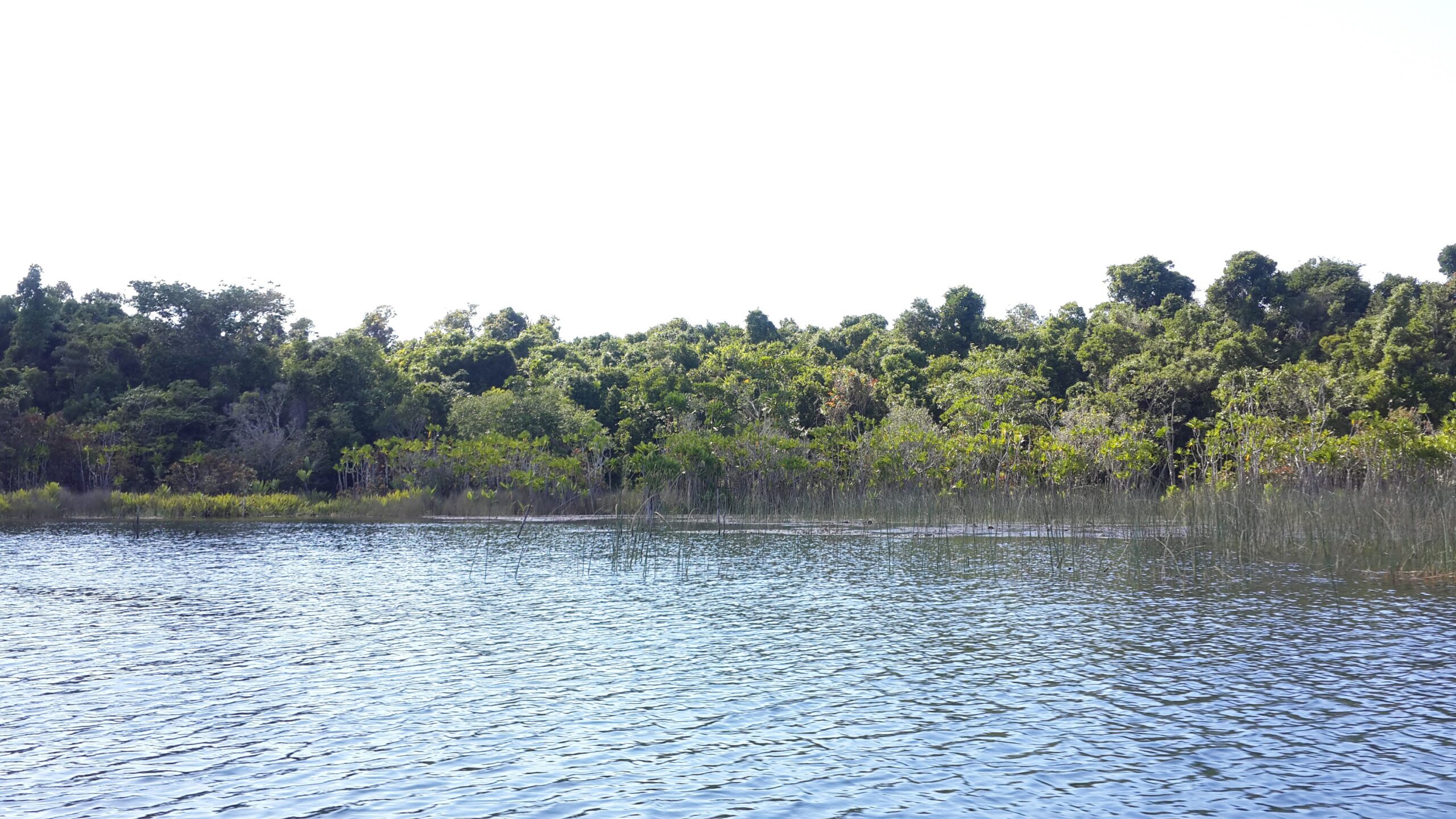 Stratégie Nationale de la Gestion Durable de la Biodiversité – Madagascar
