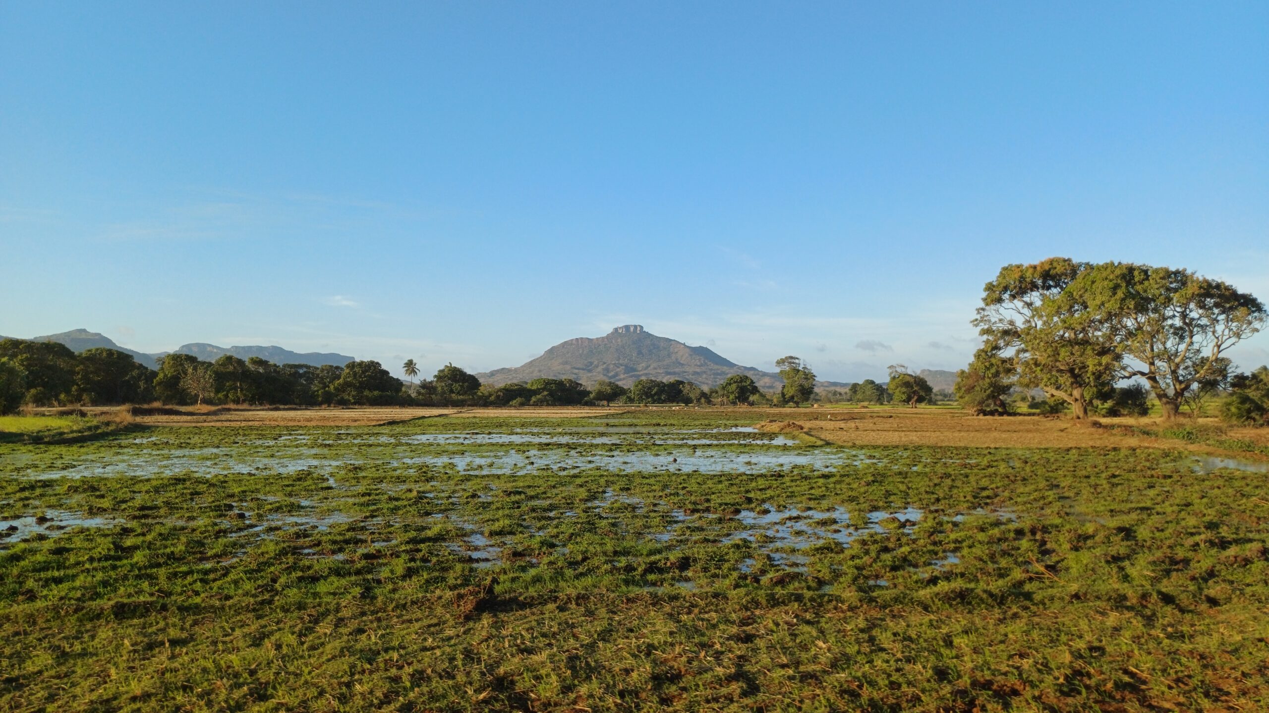 Gestion des paysages terrestres et marins: le Fem débloque 22 millions de dollars