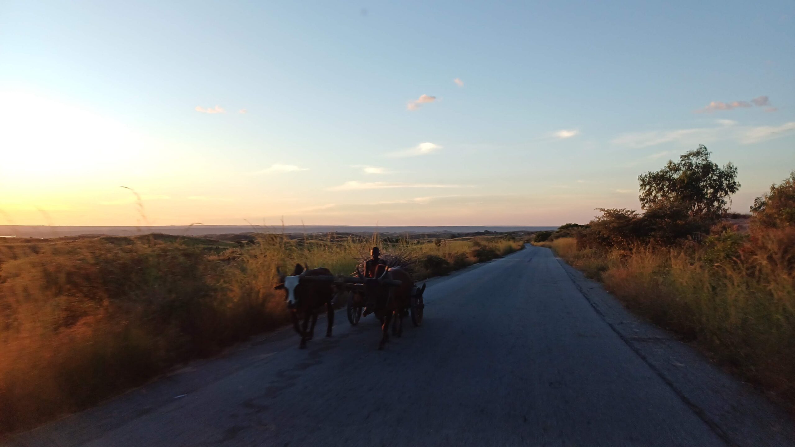 Assistance technique aux pays les moins avancés (PMA) francophones pour la mise en œuvre de la Convention-cadre des Nations Unies sur les changements climatiques (UNFCCC) – Décision 8/CP.8