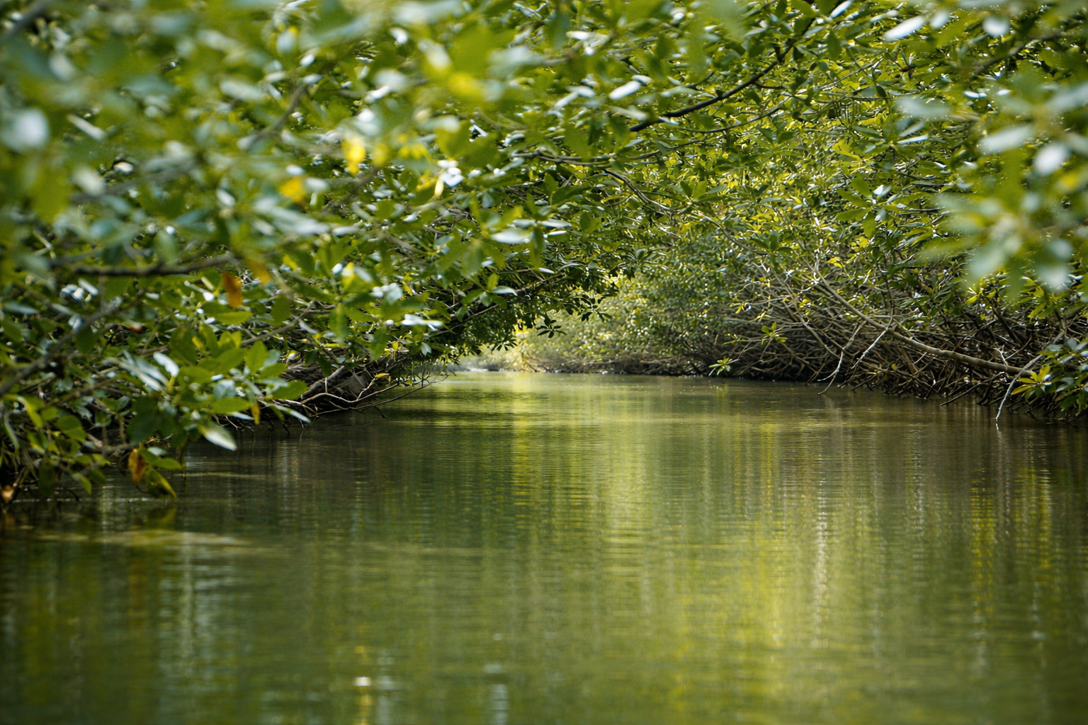 Renforcement de la résilience climatique dans le secteur agricole dans la région Sud-Ouest de Madagascar